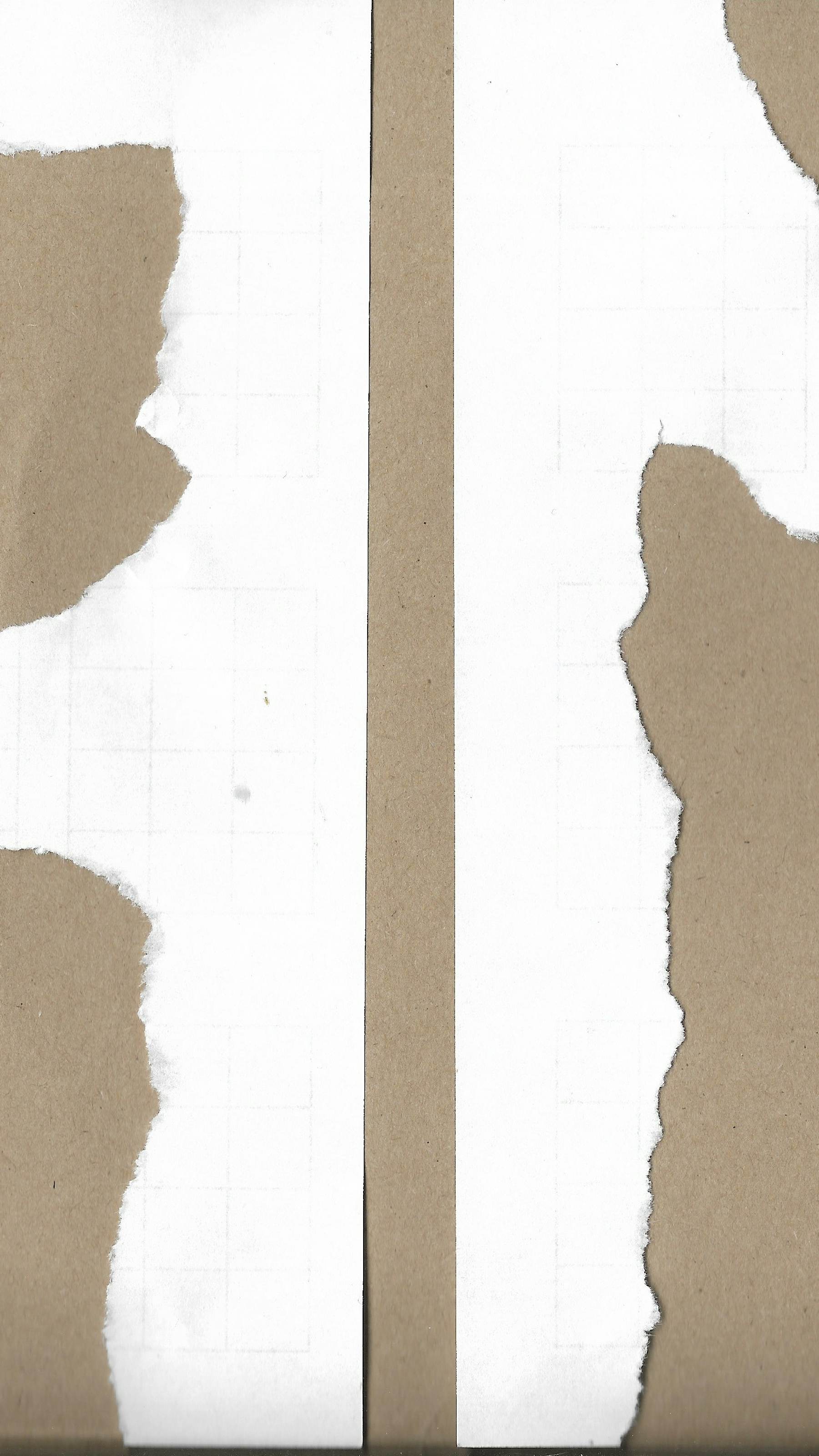Torn paper forms backwards letter "R" and "M"s.